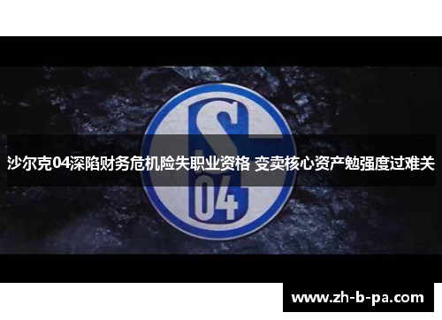 沙尔克04深陷财务危机险失职业资格 变卖核心资产勉强度过难关 沙尔克04深陷财务危机险失职业资格 变卖核心资产勉强度过难关
